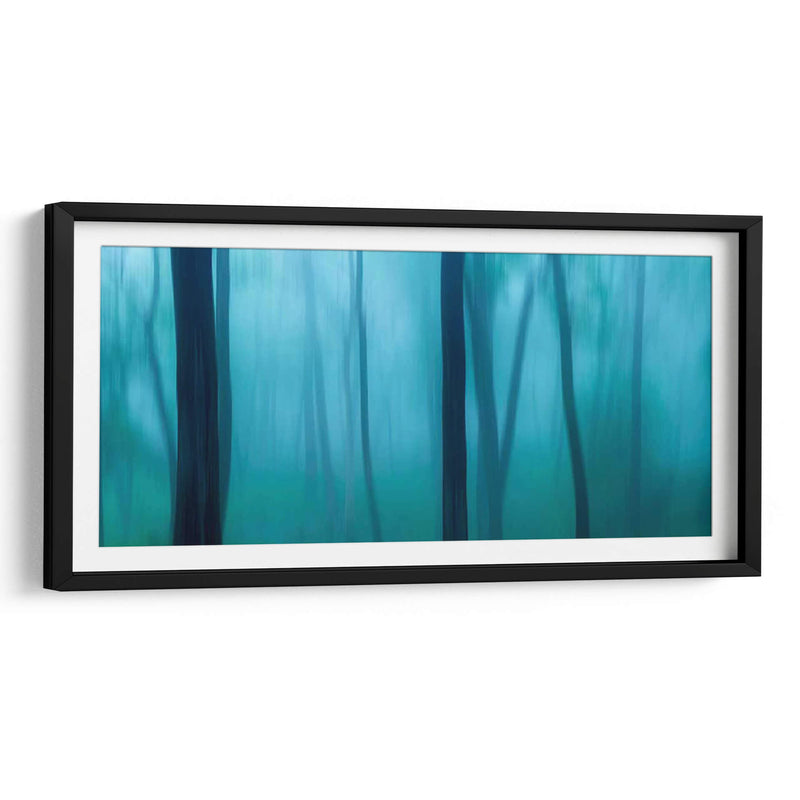 Harriman Woods Ii - James McLoughlin | Cuadro decorativo de Canvas Lab