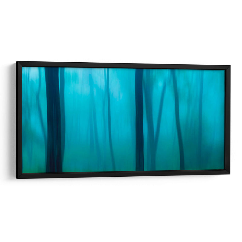 Harriman Woods Ii - James McLoughlin | Cuadro decorativo de Canvas Lab