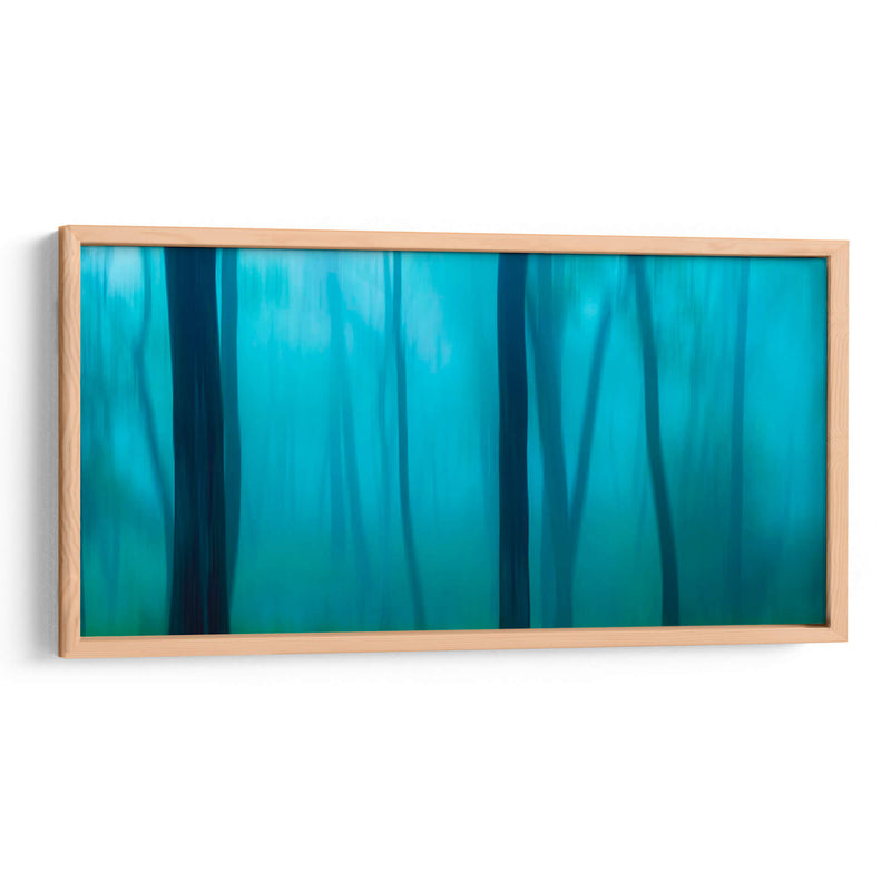 Harriman Woods Ii - James McLoughlin | Cuadro decorativo de Canvas Lab