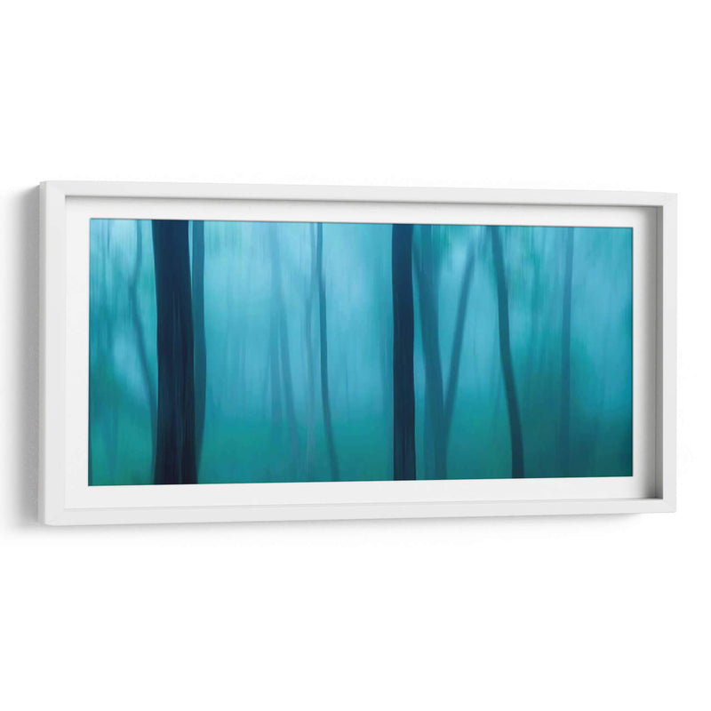 Harriman Woods Ii - James McLoughlin | Cuadro decorativo de Canvas Lab