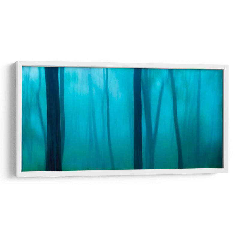 Harriman Woods Ii - James McLoughlin | Cuadro decorativo de Canvas Lab