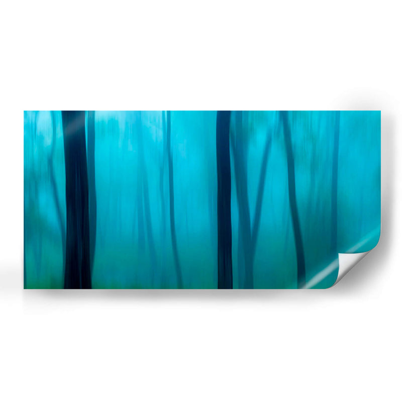 Harriman Woods Ii - James McLoughlin | Cuadro decorativo de Canvas Lab