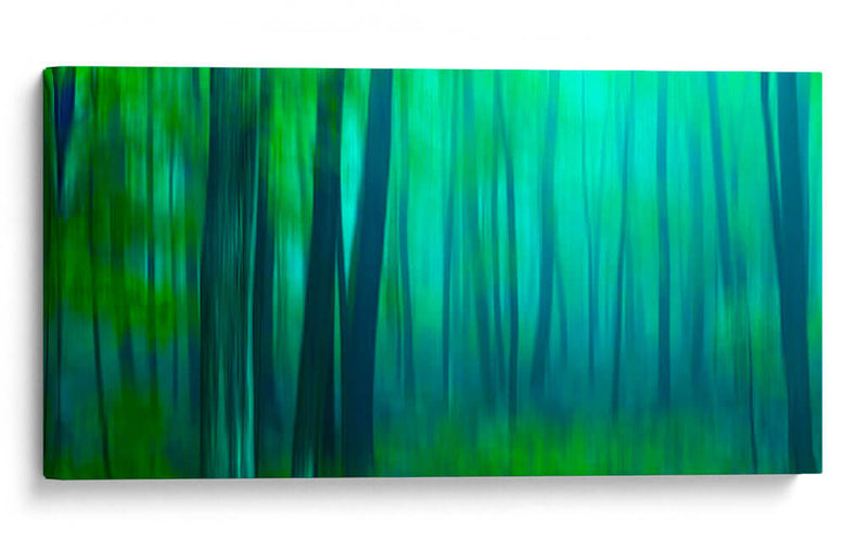 Harriman Woods Iii - James McLoughlin | Cuadro decorativo de Canvas Lab