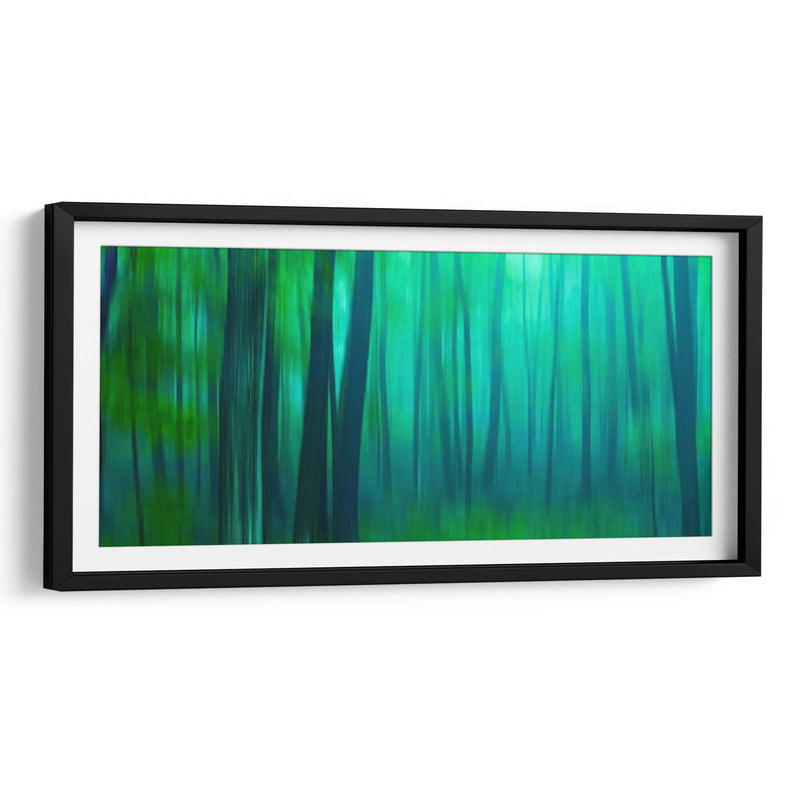 Harriman Woods Iii - James McLoughlin | Cuadro decorativo de Canvas Lab