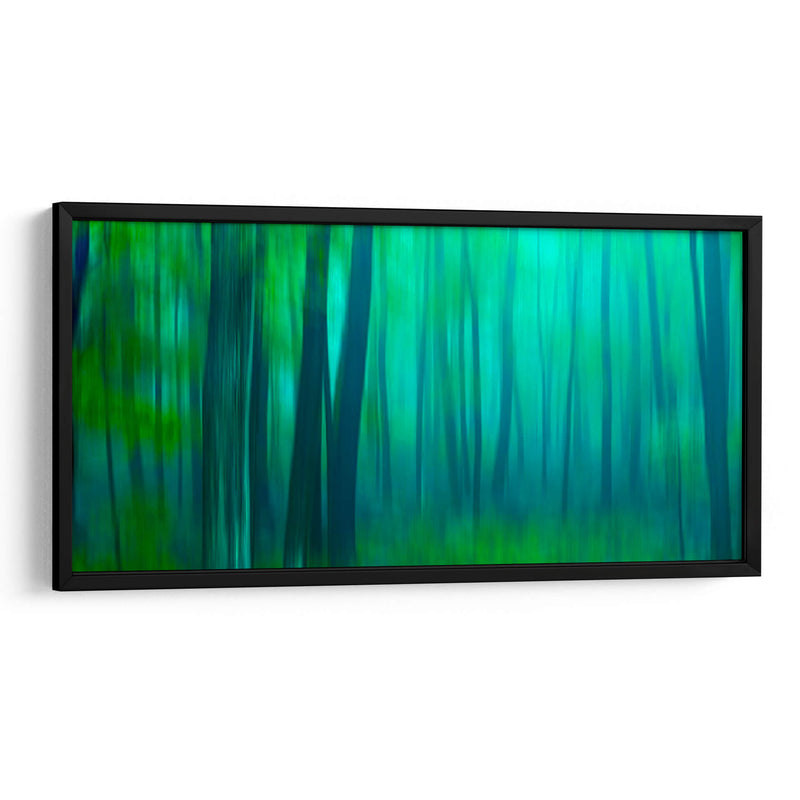 Harriman Woods Iii - James McLoughlin | Cuadro decorativo de Canvas Lab