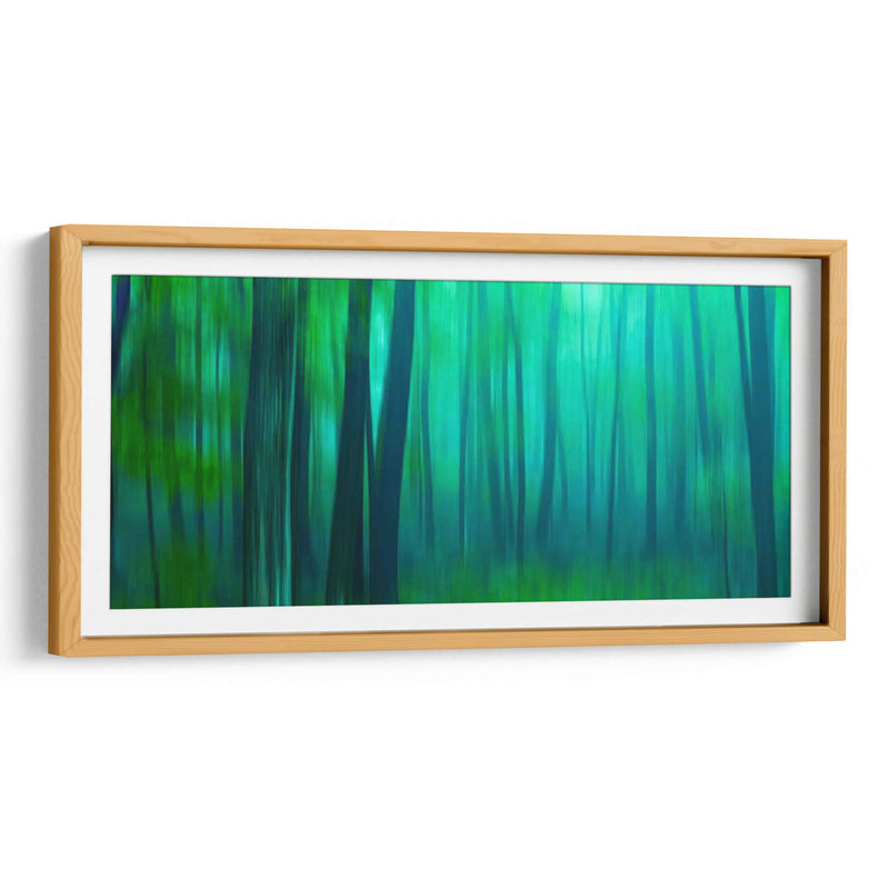 Harriman Woods Iii - James McLoughlin | Cuadro decorativo de Canvas Lab