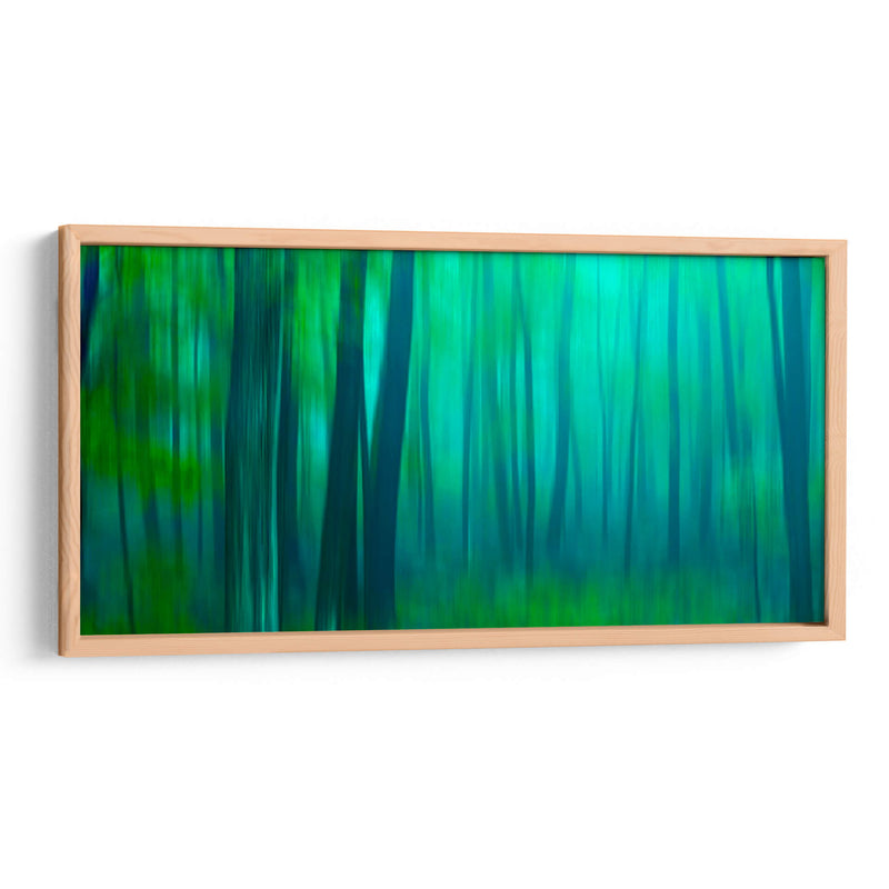 Harriman Woods Iii - James McLoughlin | Cuadro decorativo de Canvas Lab