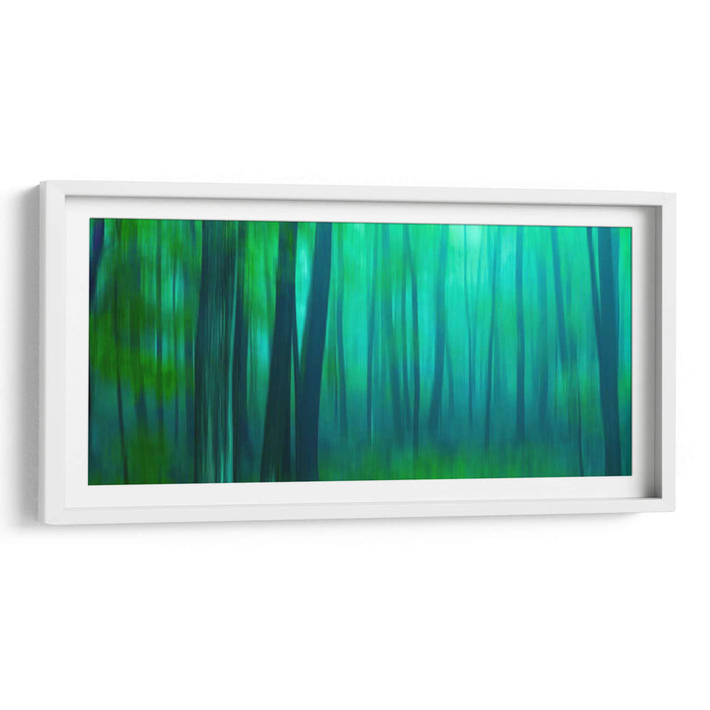 Harriman Woods Iii - James McLoughlin | Cuadro decorativo de Canvas Lab