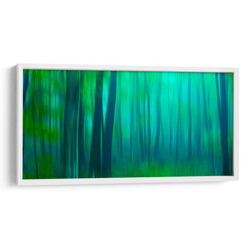 Harriman Woods Iii - James McLoughlin | Cuadro decorativo de Canvas Lab