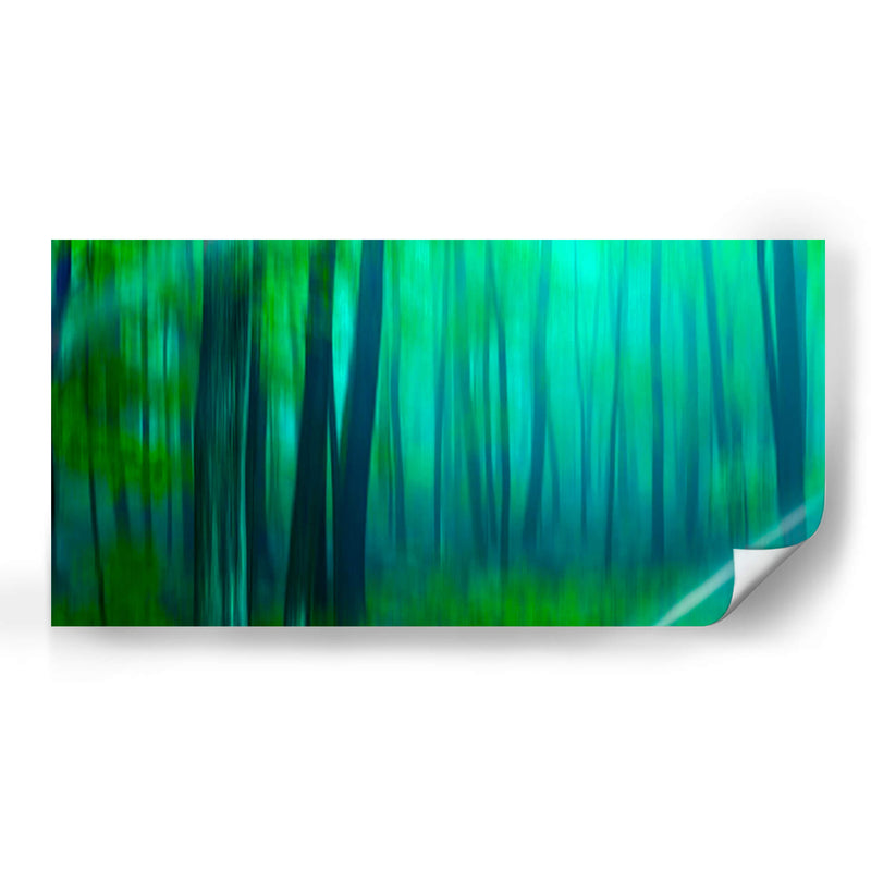 Harriman Woods Iii - James McLoughlin | Cuadro decorativo de Canvas Lab