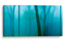 Harriman Woods Iv - James McLoughlin | Cuadro decorativo de Canvas Lab