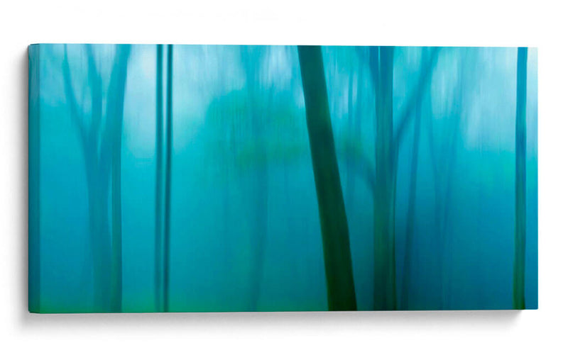 Harriman Woods Iv - James McLoughlin | Cuadro decorativo de Canvas Lab