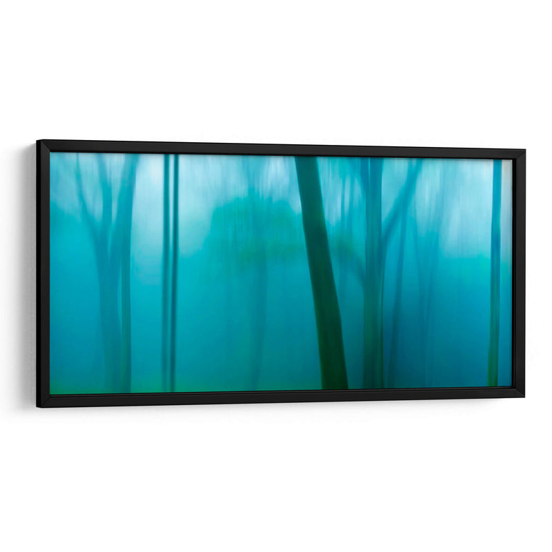 Harriman Woods Iv - James McLoughlin | Cuadro decorativo de Canvas Lab