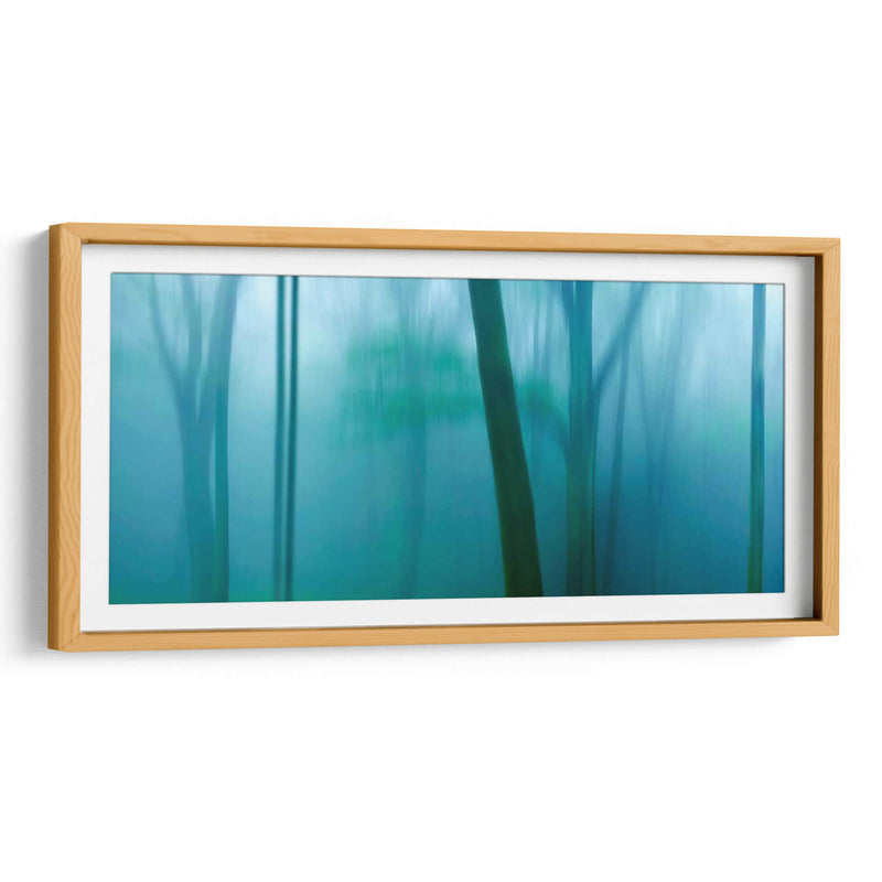 Harriman Woods Iv - James McLoughlin | Cuadro decorativo de Canvas Lab