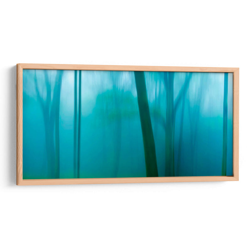 Harriman Woods Iv - James McLoughlin | Cuadro decorativo de Canvas Lab