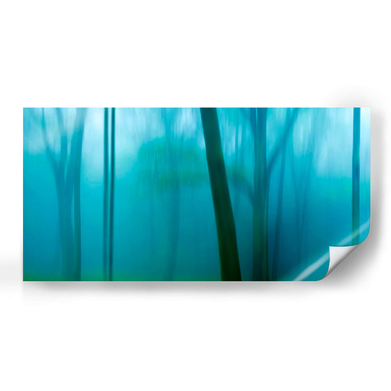 Harriman Woods Iv - James McLoughlin | Cuadro decorativo de Canvas Lab