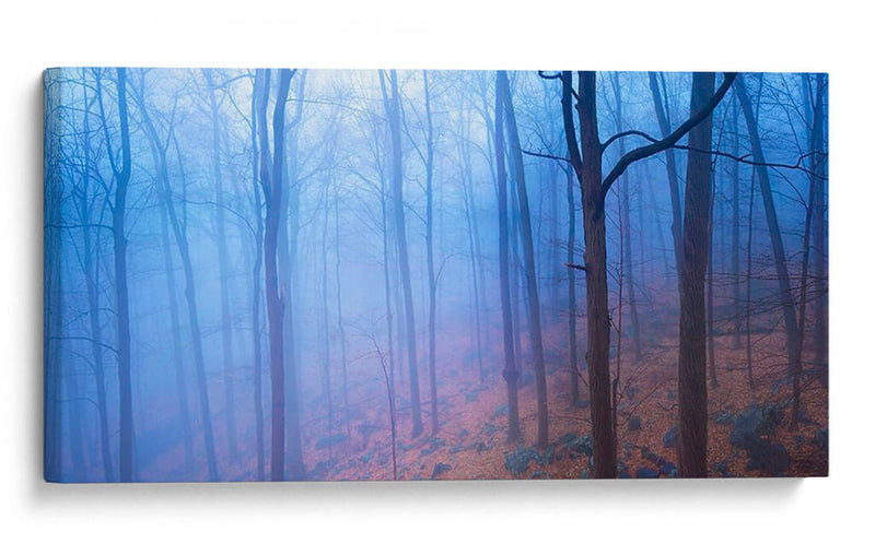 Harriman Woods Vi - James McLoughlin | Cuadro decorativo de Canvas Lab