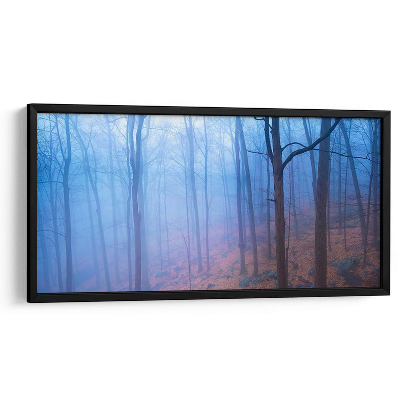 Harriman Woods Vi - James McLoughlin | Cuadro decorativo de Canvas Lab