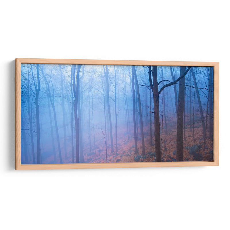 Harriman Woods Vi - James McLoughlin | Cuadro decorativo de Canvas Lab