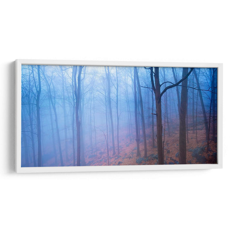 Harriman Woods Vi - James McLoughlin | Cuadro decorativo de Canvas Lab