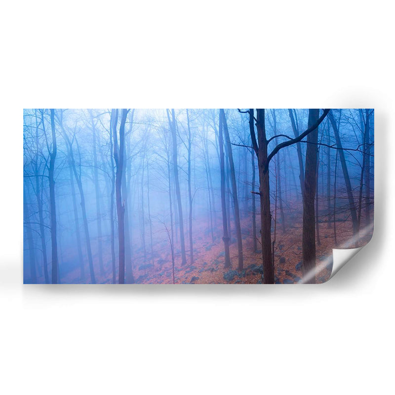 Harriman Woods Vi - James McLoughlin | Cuadro decorativo de Canvas Lab