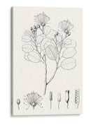 Hojas Ilustrativas I - Vision Studio | Cuadro decorativo de Canvas Lab