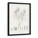 Hojas Ilustrativas I - Vision Studio | Cuadro decorativo de Canvas Lab