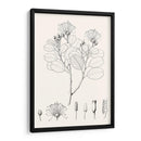 Hojas Ilustrativas I - Vision Studio | Cuadro decorativo de Canvas Lab