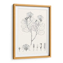 Hojas Ilustrativas I - Vision Studio | Cuadro decorativo de Canvas Lab