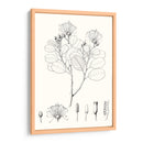 Hojas Ilustrativas I - Vision Studio | Cuadro decorativo de Canvas Lab