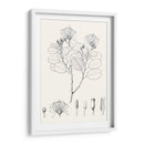 Hojas Ilustrativas I - Vision Studio | Cuadro decorativo de Canvas Lab