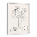 Hojas Ilustrativas I - Vision Studio | Cuadro decorativo de Canvas Lab