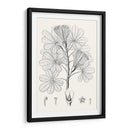 Hojas Ilustrativas Ii - Vision Studio | Cuadro decorativo de Canvas Lab