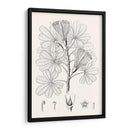 Hojas Ilustrativas Ii - Vision Studio | Cuadro decorativo de Canvas Lab