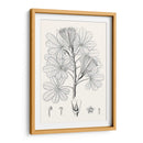 Hojas Ilustrativas Ii - Vision Studio | Cuadro decorativo de Canvas Lab