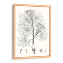 Hojas Ilustrativas Ii - Vision Studio | Cuadro decorativo de Canvas Lab