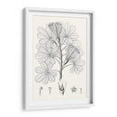 Hojas Ilustrativas Ii - Vision Studio | Cuadro decorativo de Canvas Lab