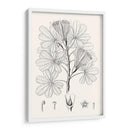 Hojas Ilustrativas Ii - Vision Studio | Cuadro decorativo de Canvas Lab