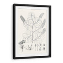 Hojas Ilustrativas Iv - Vision Studio | Cuadro decorativo de Canvas Lab