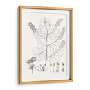 Hojas Ilustrativas Iv - Vision Studio | Cuadro decorativo de Canvas Lab