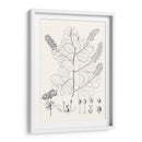 Hojas Ilustrativas Iv - Vision Studio | Cuadro decorativo de Canvas Lab