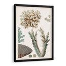 Curiosidad Costera Vi | Cuadro decorativo de Canvas Lab