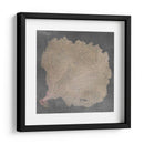 Fan De Mar Natural V - Vision Studio | Cuadro decorativo de Canvas Lab