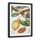 Turpin Tropical Fruit Ii - Turpin | Cuadro decorativo de Canvas Lab