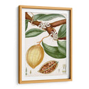 Turpin Tropical Fruit Ii - Turpin | Cuadro decorativo de Canvas Lab