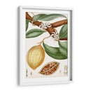 Turpin Tropical Fruit Ii - Turpin | Cuadro decorativo de Canvas Lab