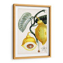 Turpin Tropical Fruit Iv - Turpin | Cuadro decorativo de Canvas Lab