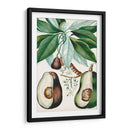 Turpin Tropical Fruta V - Turpin | Cuadro decorativo de Canvas Lab