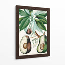 Turpin Tropical Fruta V - Turpin | Cuadro decorativo de Canvas Lab