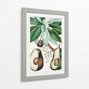 Turpin Tropical Fruta V - Turpin | Cuadro decorativo de Canvas Lab